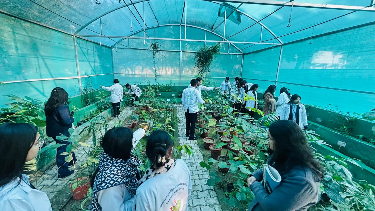 Academic Visit to Pharmacopoeia Commission of Indian Medicine & Homoeopathy (PCIM&H), Ghaziabad - Image 4